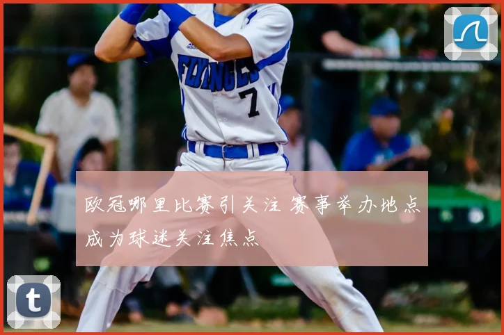 欧冠哪里比赛引关注 赛事举办地点成为球迷关注焦点
